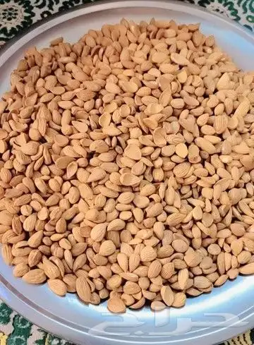 زبيب رزقي يمني للوز البلدي خولاني زبيب اسود يمني وصل الجديد 2