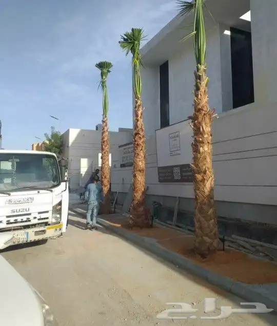 واشنطني زينه 1