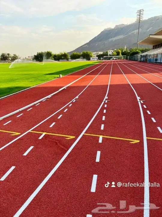 تنسيق حدائق ابوعلاء البنا للمقاولات العامة. 12