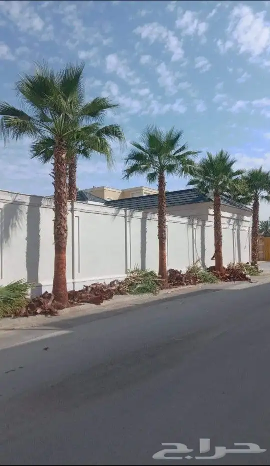 واشنطني زينه 11