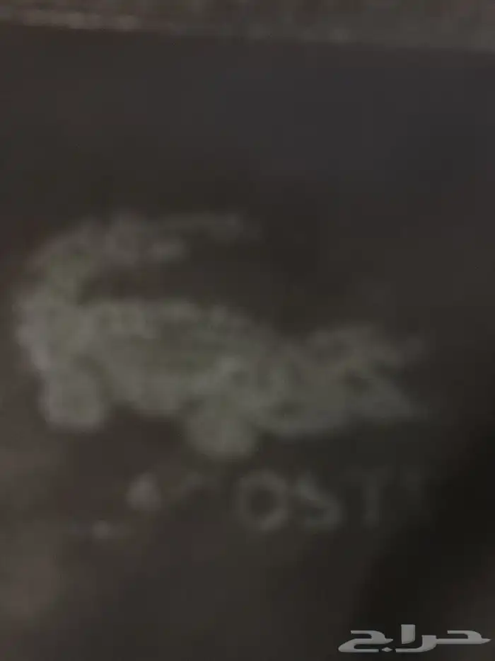 محفظه جلد التمساح تراثيه 2