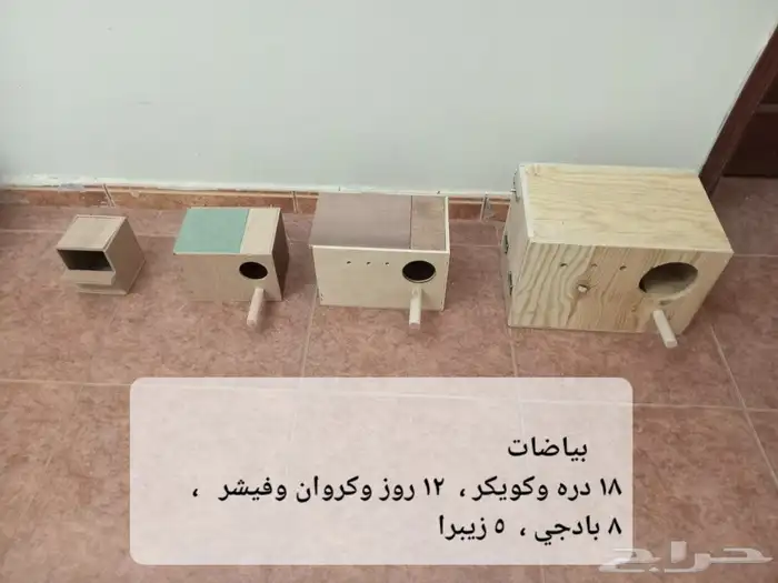 أقفاص 610 و601 وبياضات وسريلاك وعلف ( أقل من سعر المحلات ) 4