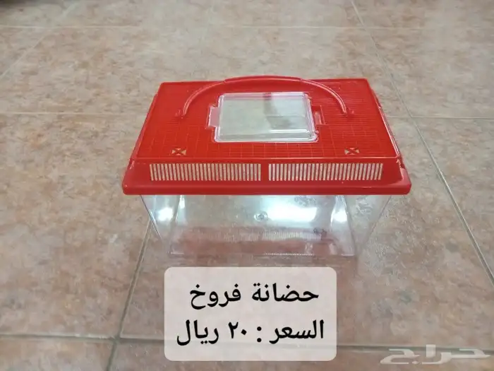 أقفاص 610 و601 وبياضات وسريلاك وعلف ( أقل من سعر المحلات ) 14