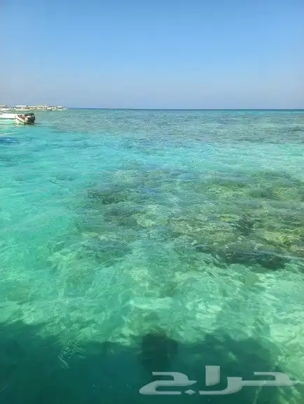 رحلات بياضه وصيد ونزهه 6