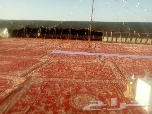 تاجير خيام اوروبيه وبيوت شعر اسود وابيض كنب ملكي كرسي شعبيه 0