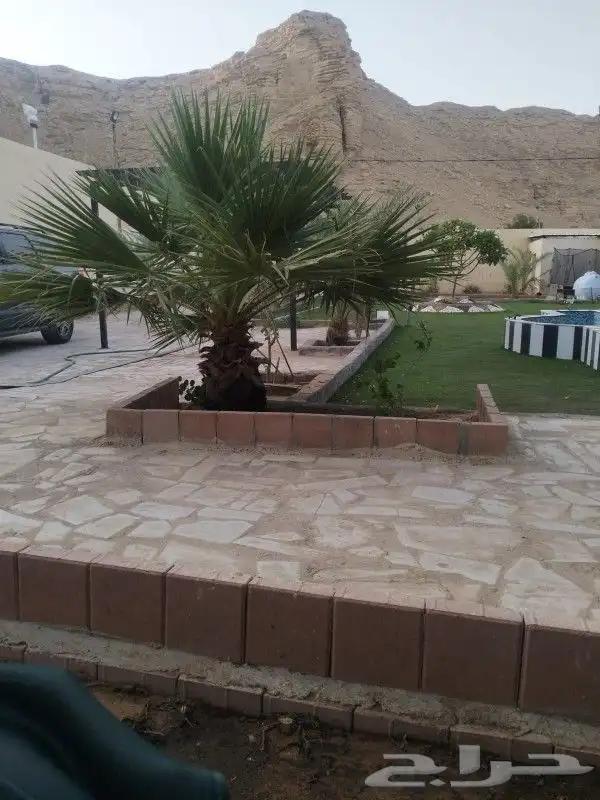 كمرات مراقبه 1