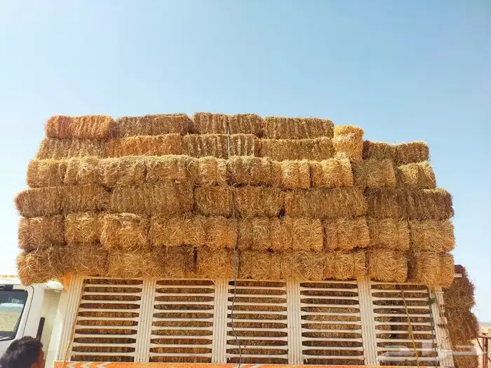 تبن بر شد 85 90 2