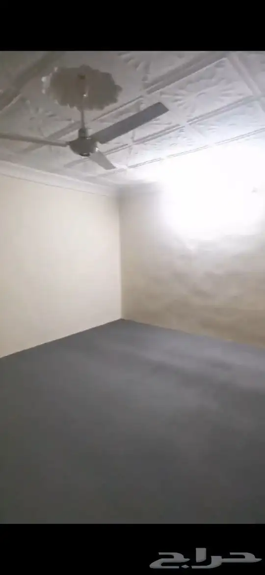 الذيبية عزاب ثلاث غرف استراحه 5