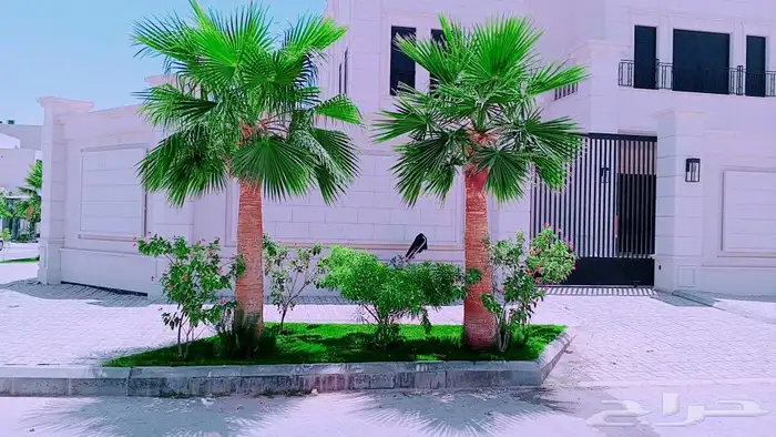 مشتل فيصل لجميع اعمال الزراعه وتوريد الاشجار والثيل بأنواعه 3