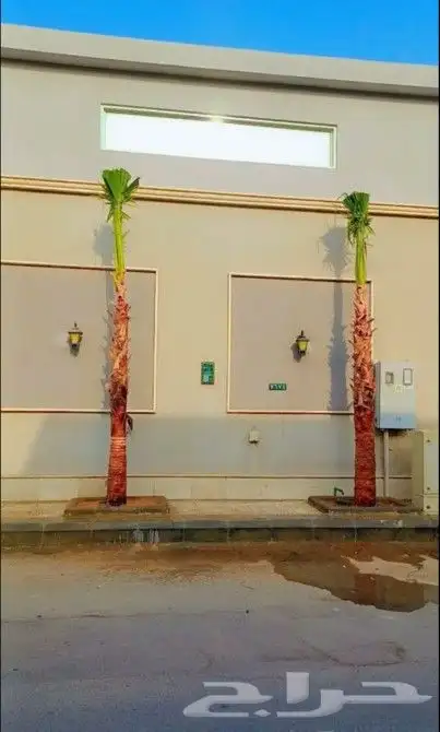 واشنطني زينه ابومروحه 7