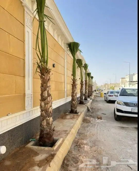 واشنطني زينه ابومروحه 14