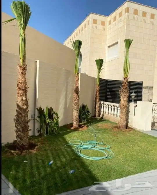 واشنطني زينه ابومروحه 2