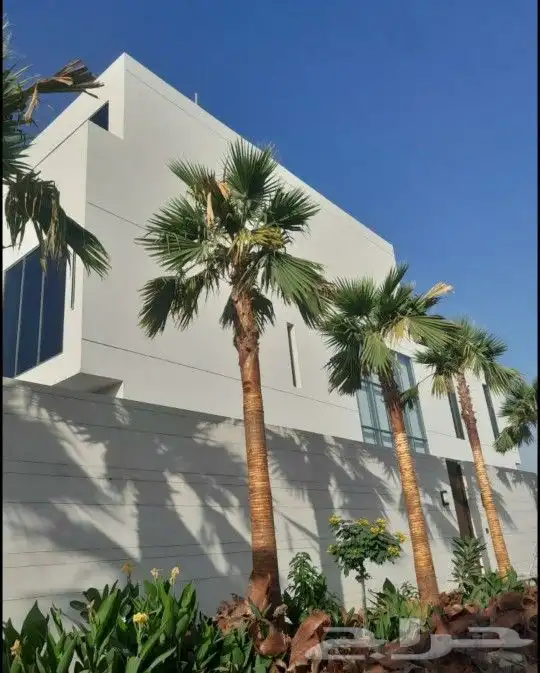 واشنطني زينه ابومروحه 1