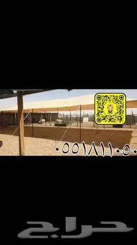 مضلات غنم تخفيضات القصيم بريده 2