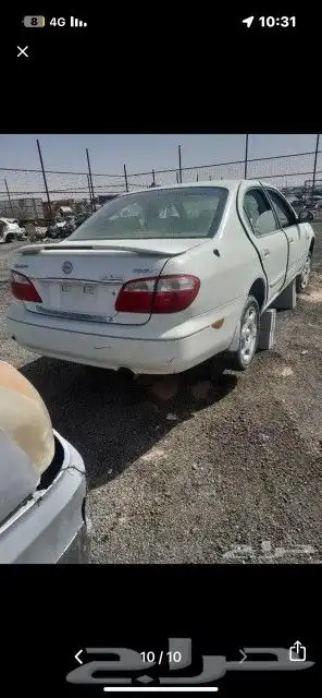 نسيان التيما مكسيما 2000 الي 2018 9