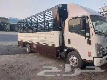 ورشة الأمل اللحداده العامه الفنيه 2