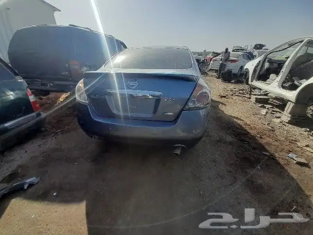 نسيان التيما مكسيما 2000 الي 2018 2