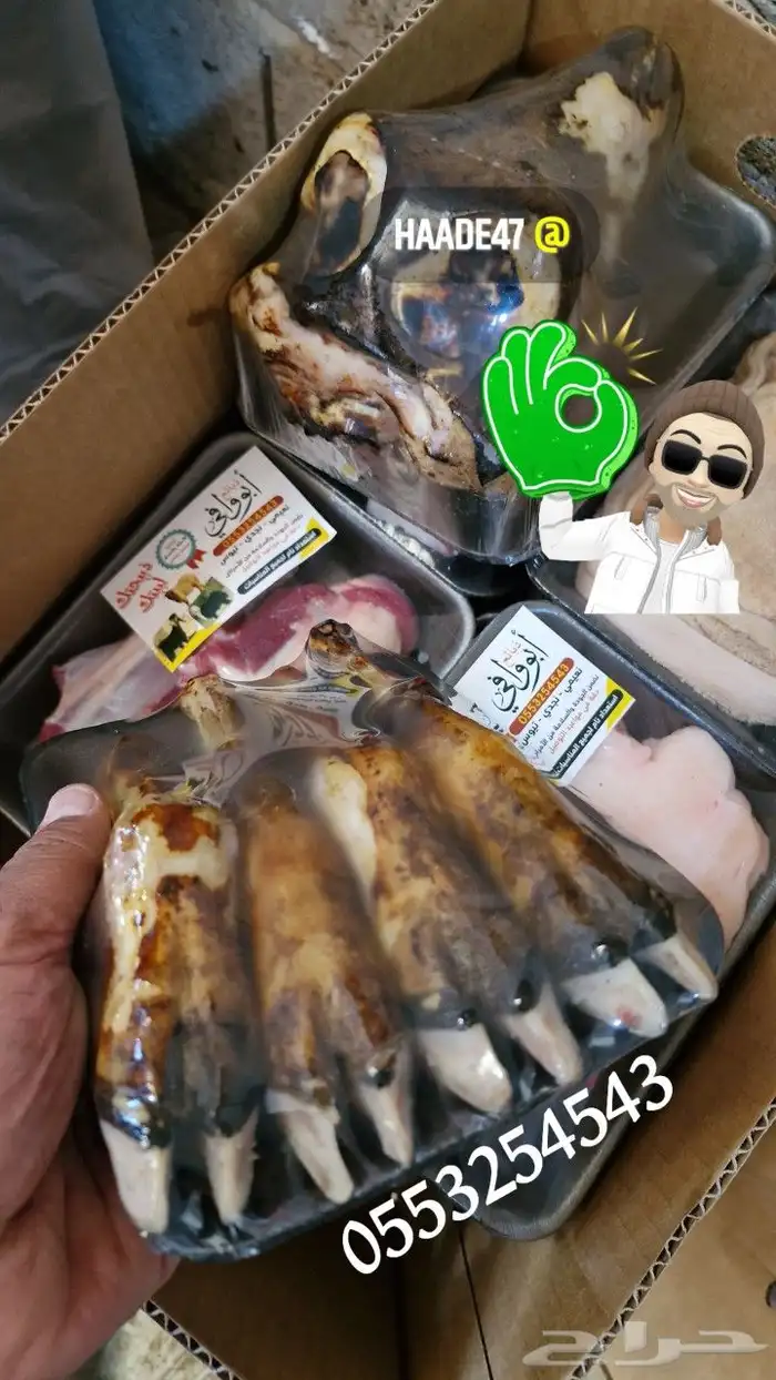 ذبايح هرافي وجذعان وتيوس 5