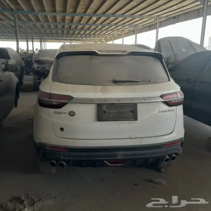 جيلي كولراي 2020 1