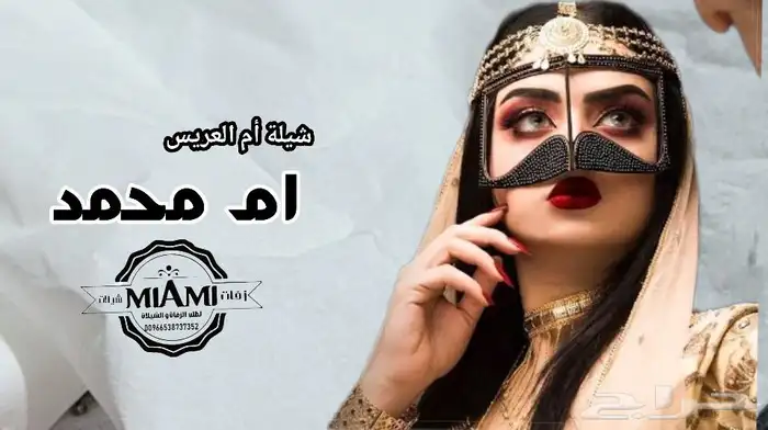 استديو شيلات وزفات ميامي 4