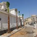 مقول نخل عربي وشنطني وصينة مزراع 2