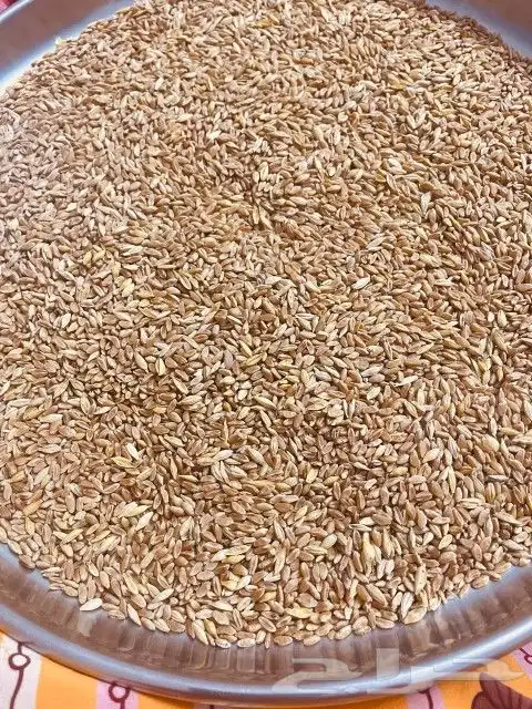 الحنطة السوداء و الشوفان والبر والشعير 2