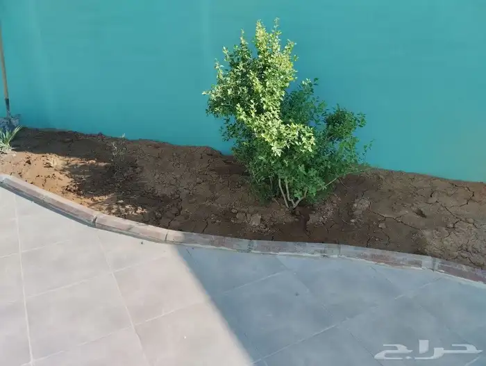 مقاول مصري لجميع المقاولات 6
