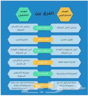 مطور النظم المالية و الادارية 0