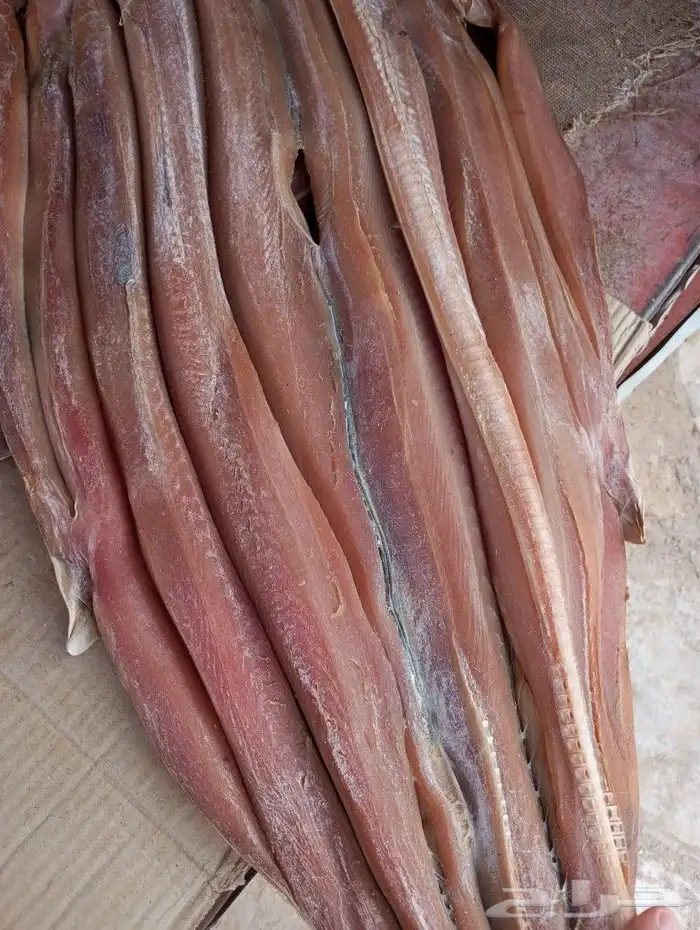 لخم وحنيذ مكلاوي رقم واحد 4