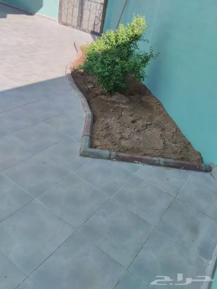 مقاول مصري لجميع المقاولات 0