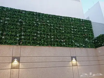 عشب صناعي واجمل الدريكورات الخارجيه في جميع البلدان السعوديه 1