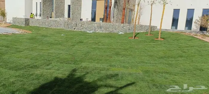 المهندس أبو سجي لجميع أعمال الزراعة والتنسيق والديكور 4