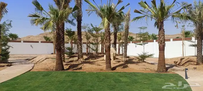 المهندس أبو سجي لجميع أعمال الزراعة والتنسيق والديكور 9
