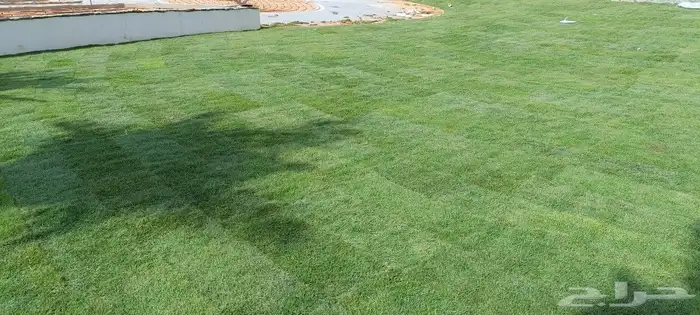 المهندس أبو سجي لجميع أعمال الزراعة والتنسيق والديكور 3