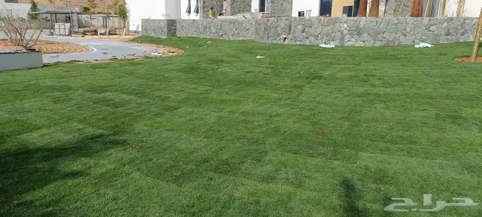 المهندس أبو سجي لجميع أعمال الزراعة والتنسيق والديكور 1