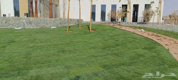 المهندس أبو سجي لجميع أعمال الزراعة والتنسيق والديكور 0