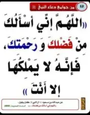 حمام زاجل سباق (مفقودة.بالمدينة المنورة وضواحيها) كبار وطبات 8