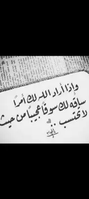حمام زاجل سباق (مفقودة.بالمدينة المنورة وضواحيها) كبار وطبات 5