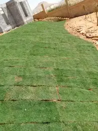 ثيل طبيعي C2000 زرع طبيعي 2