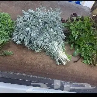 محل زهور الفل برياض حي الفيصليه 33