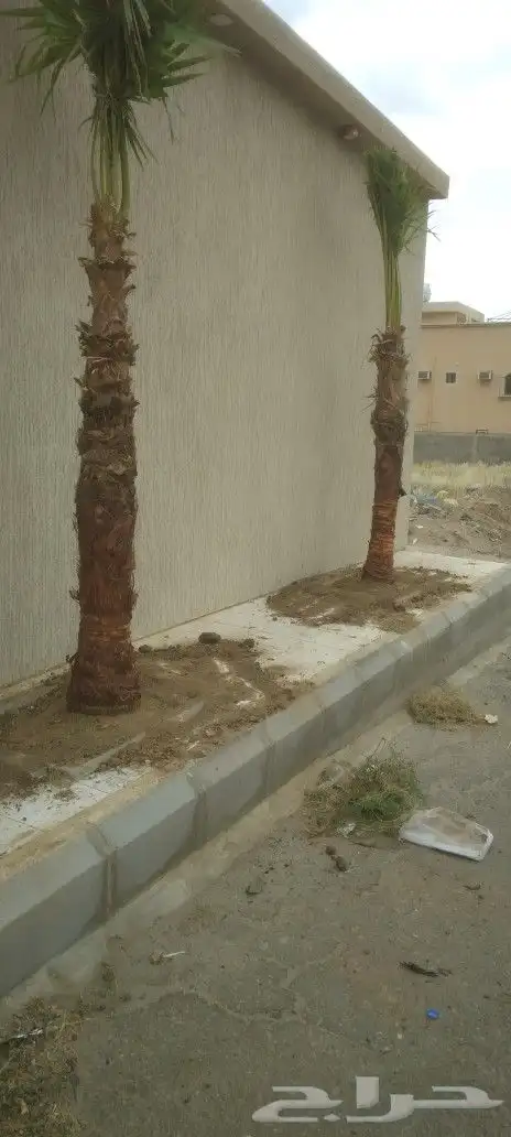 وشنطتي لبيع في أبها والخميس 1