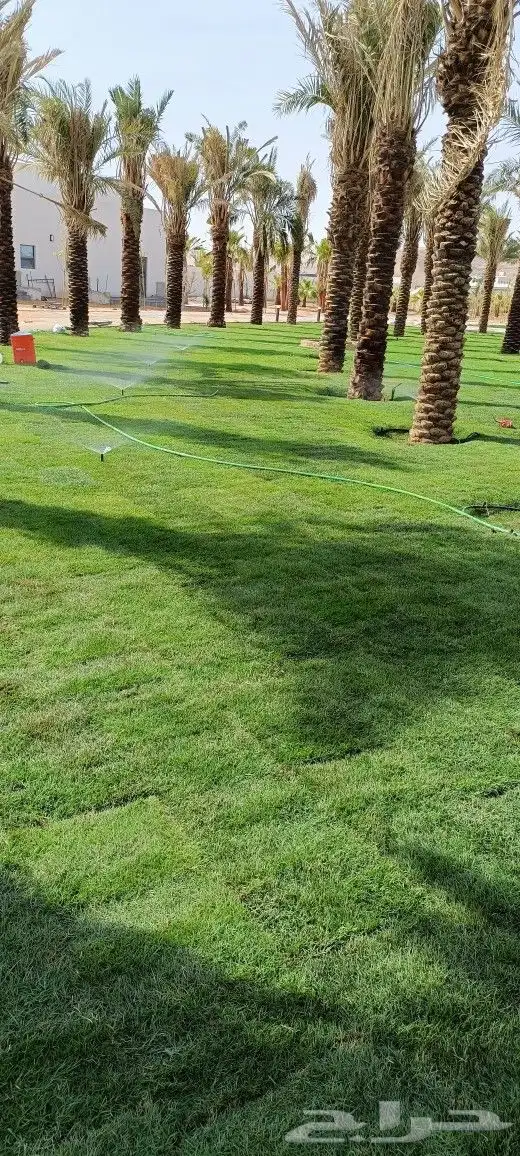 المهندس أبو سجي لجميع أعمال الزراعة والتنسيق والديكور 6