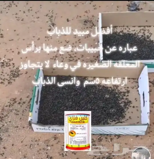 مبيد ذباب معروف فلاي كلين 1