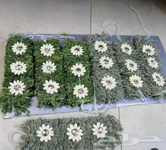 محل زهور الفل برياض حي الفيصليه 45