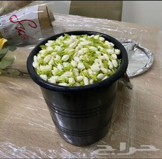 محل زهور الفل برياض حي الفيصليه 0
