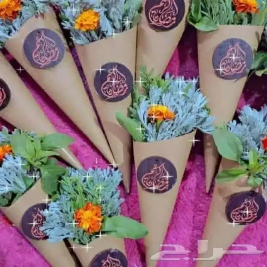 محل زهور الفل برياض حي الفيصليه 1
