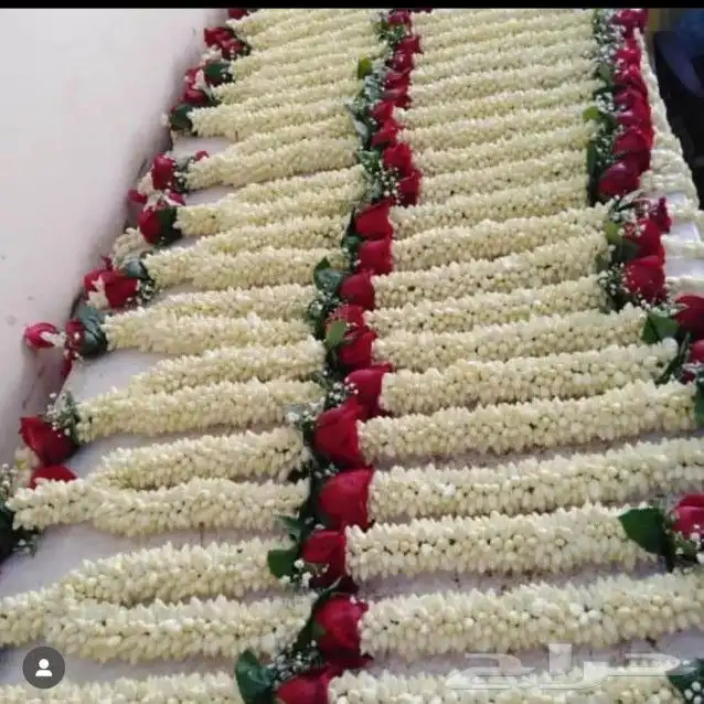 محل زهور الفل برياض حي الفيصليه 27