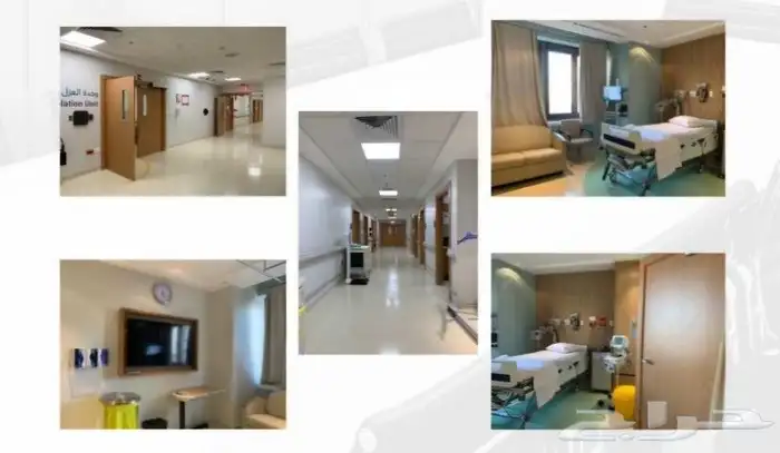 شركة تعمل في مجال توفير عماله فنية وهندسة واشرافية للمصانع و 11
