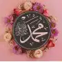حمام زاجل سباق (مفقودة.بالمدينة المنورة وضواحيها) كبار وطبات 10