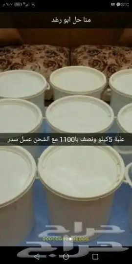 عسل سمرة عسل طلح عسل سدر اصلي مضمون على الشرط 10
